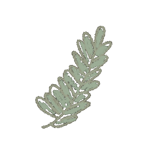 Leaf Sticker