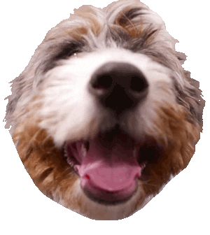 Dog Laughing Sticker