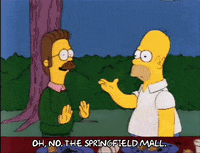 Season 3 GIF by The Simpsons