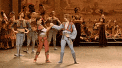 Enblecorsaire GIF by English National Ballet