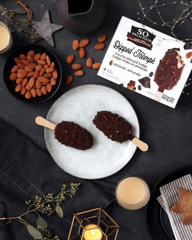 sodelicious_ca giphyupload sodelicious mocha almond fudge ice-cream bar GIF