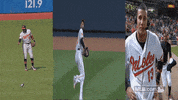 bal GIF by MLB