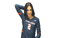 C-N Volleyball Sticker by Carson-Newman Athletics