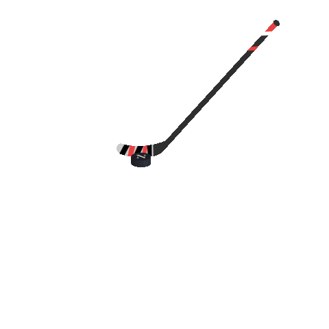 college hockey Sticker by Northeastern University