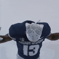 Usu GIF by USUAthletics