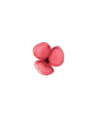 Summer Flowers Sticker by Shop 437