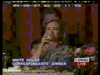 GIF by Giphy QA