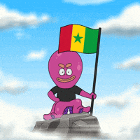 Star Flag GIF by Octo Gaming