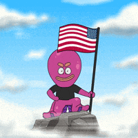 American Usa GIF by Octo Gaming