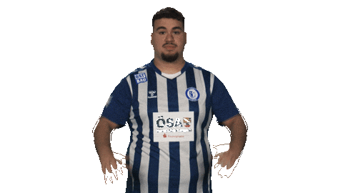 Fc Magdeburg Omg Sticker by Bundesliga