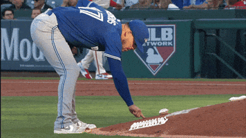Blue Jays Baseball GIF by Toronto Blue Jays