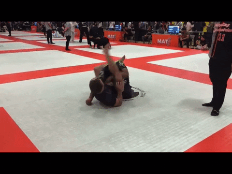 Regression-to-the-meanest  GIF