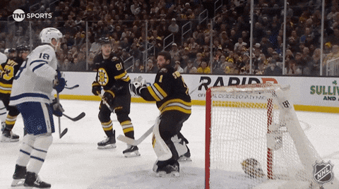 Boston Bruins Laugh GIF by NHL