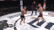 GIF by Bellator