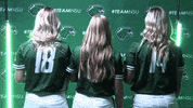 Softball GIF by RiverHawk Sports