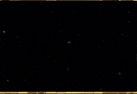 Happy New Year Trending GIF by Charli Gurl