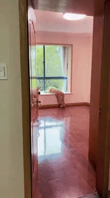 cuteanimalland giphyupload GIF