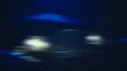 Lil Wayne GIF by Rob 49