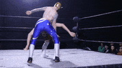 SHWAWrestling wrestling dive perth pro wrestling perth wrestling GIF
