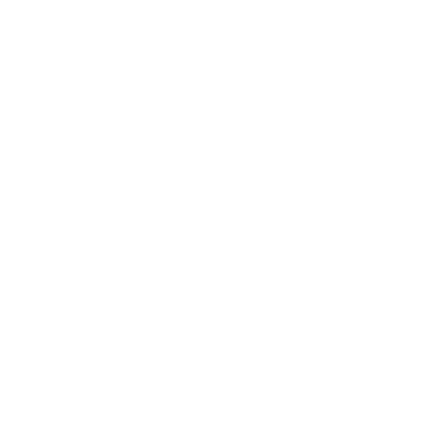Ny Bolan Sticker