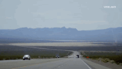 viceland GIF by CYBERWAR