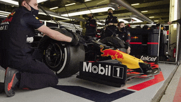 GIF by Red Bull Racing