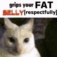 Belly GIF