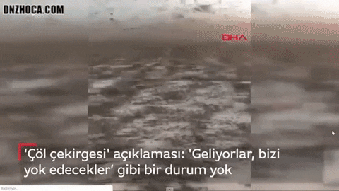 sanatlibiblog giphygifmaker GIF