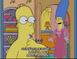 homer simpson episode 10 GIF