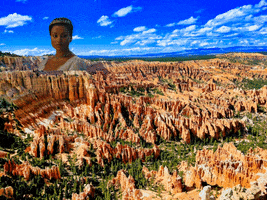 You Can Wow GIF by FranchiseONE.de