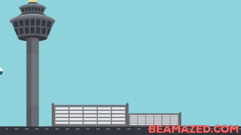 Momotaj giphygifmaker bird strike plane accident GIF