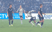 Mad Fight GIF by Major League Soccer