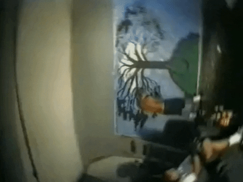 Seed GIF by Sublime