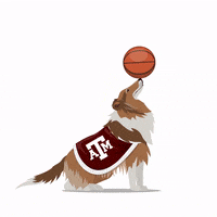 College Basketball Mascot GIF by Wells Fargo