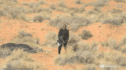 Look Up David Blaine GIF by YouTube