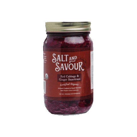 SaltAndSavour fermented sauerkraut kraut saltandsavour Sticker