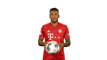 Playing Fc Bayern Sticker by Bundesliga