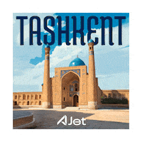 Travel Fly Sticker by AJet