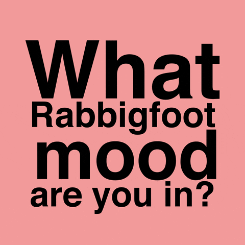 Rabbigfoot Happy Shocked Angry Lovely Inlove Dreamy Mood Lachicaconejo GIF