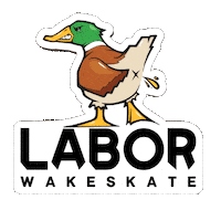 Angry Duck Sticker by LABOR Wakeskate