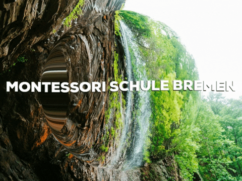 Fun Party GIF by PrivatschulenPORTAL.de