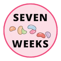 Pregnancy Baby Size Sticker by Bump Boxes