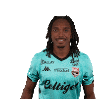 Tbs Gk Sticker by EA Guingamp