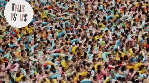 renaerostgregoire giphygifmaker giphyattribution GIF