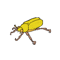 Love Bug Hearts Sticker