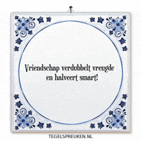 Humor Nl GIF by Tegelspreuken.nl