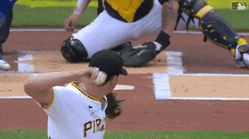 Major League Baseball Sport GIF by MLB