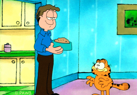 cat please GIF by Garfield
