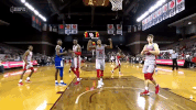 yell houston cougars GIF by Coogfans