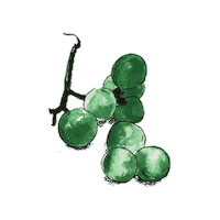 Comida Grapes Sticker